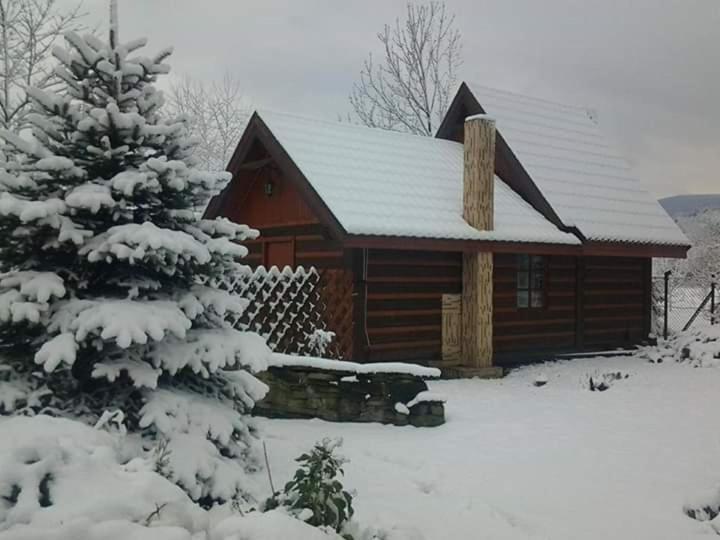 Agroturystyka W Ogrodach Санок Экстерьер фото